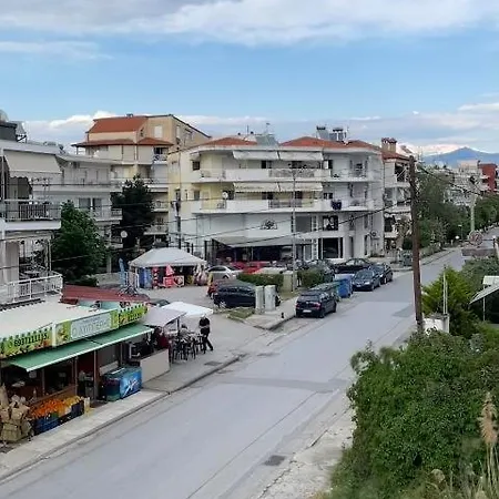 Kostalex